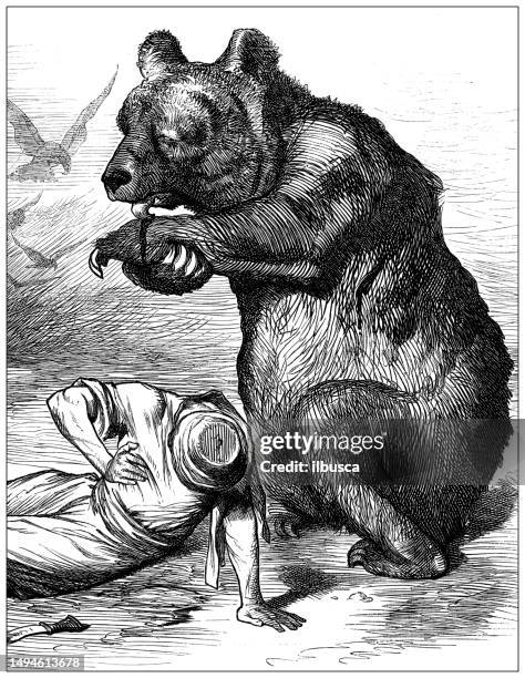 british satire caricature comic cartoon illustration - bear engraving stock illustrations