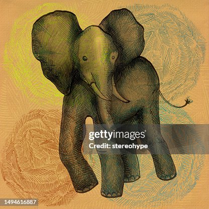 Elephant cub Elephant cub