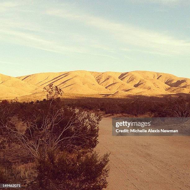 dirt road in high desert of california - カリオルニア州アップルバレー ストックフォトと画像