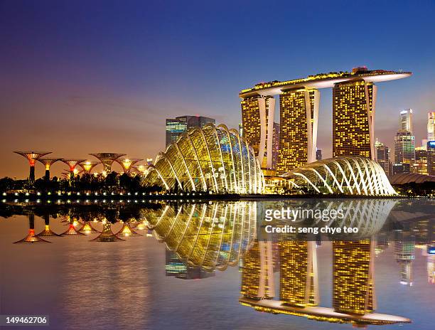 gardens by bay - singapore stock pictures, royalty-free photos & images