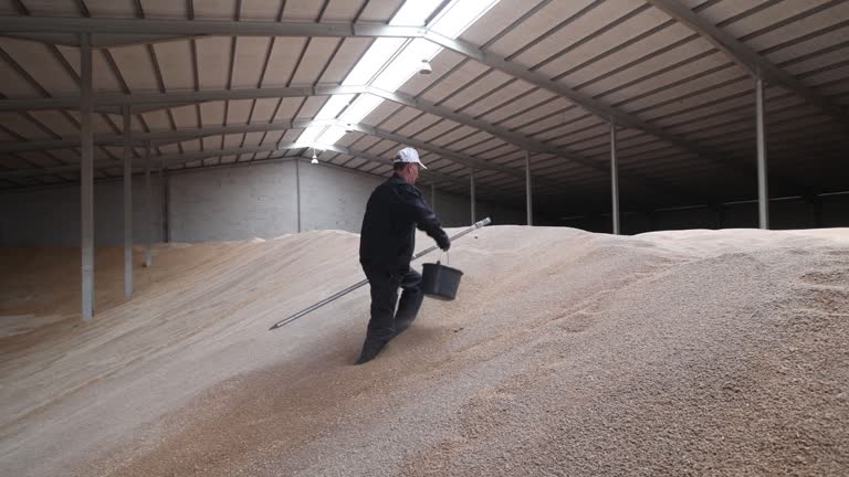 Wheet Storage Injection 961 Wheat Storage Stock Videos, Footage, & 4K Video Clips - Getty Images