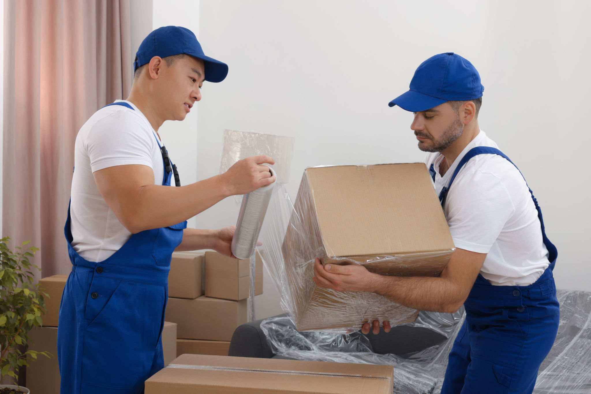 comprehensive moving services