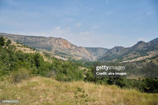 beautiful landscape from a hill with trees and mountains in the background, a sunny day, frontal view - teruel stock-fotos und bilder