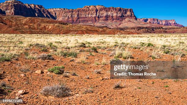 the cliffs at vermilion cliffs national monument - vermilion cliffs imagens e fotografias de stock