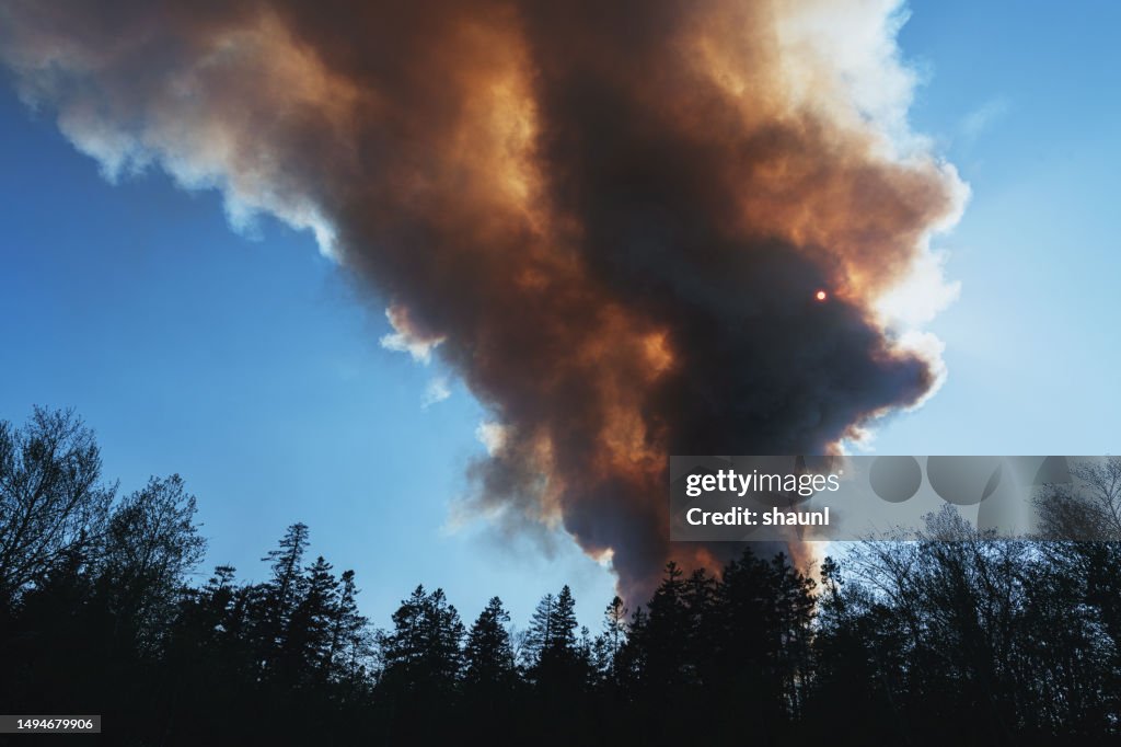Forest Fire Smoke Plume
