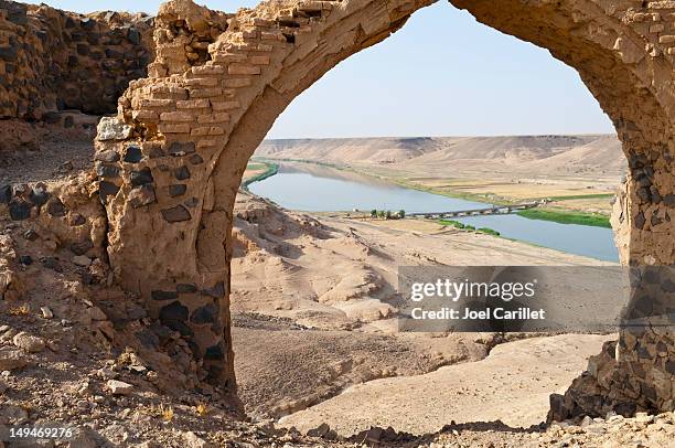 fluss euphrat und halabiye-ruinen - euphrates river stock-fotos und bilder