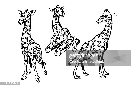 Baby Giraffe Illustration Baby Giraffe Illustration