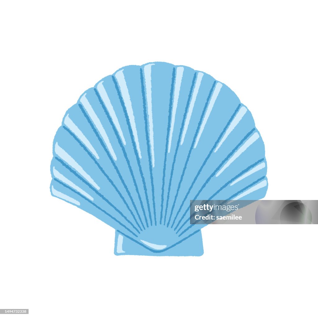 Simple Shell Blue Blue Scallop Shell