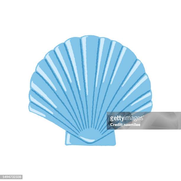 blue scallop - oyster pearl stock illustrations