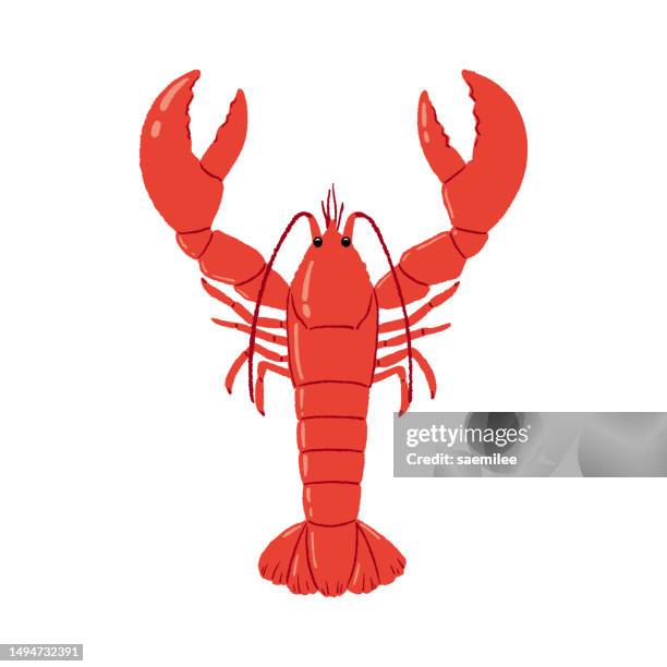 illustrations, cliparts, dessins animés et icônes de homards - lobster