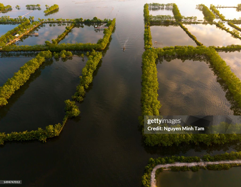 Aerial photo of extensive shrimp farming ponds on Tam Giang lagoon, Thua Thien Hue province
