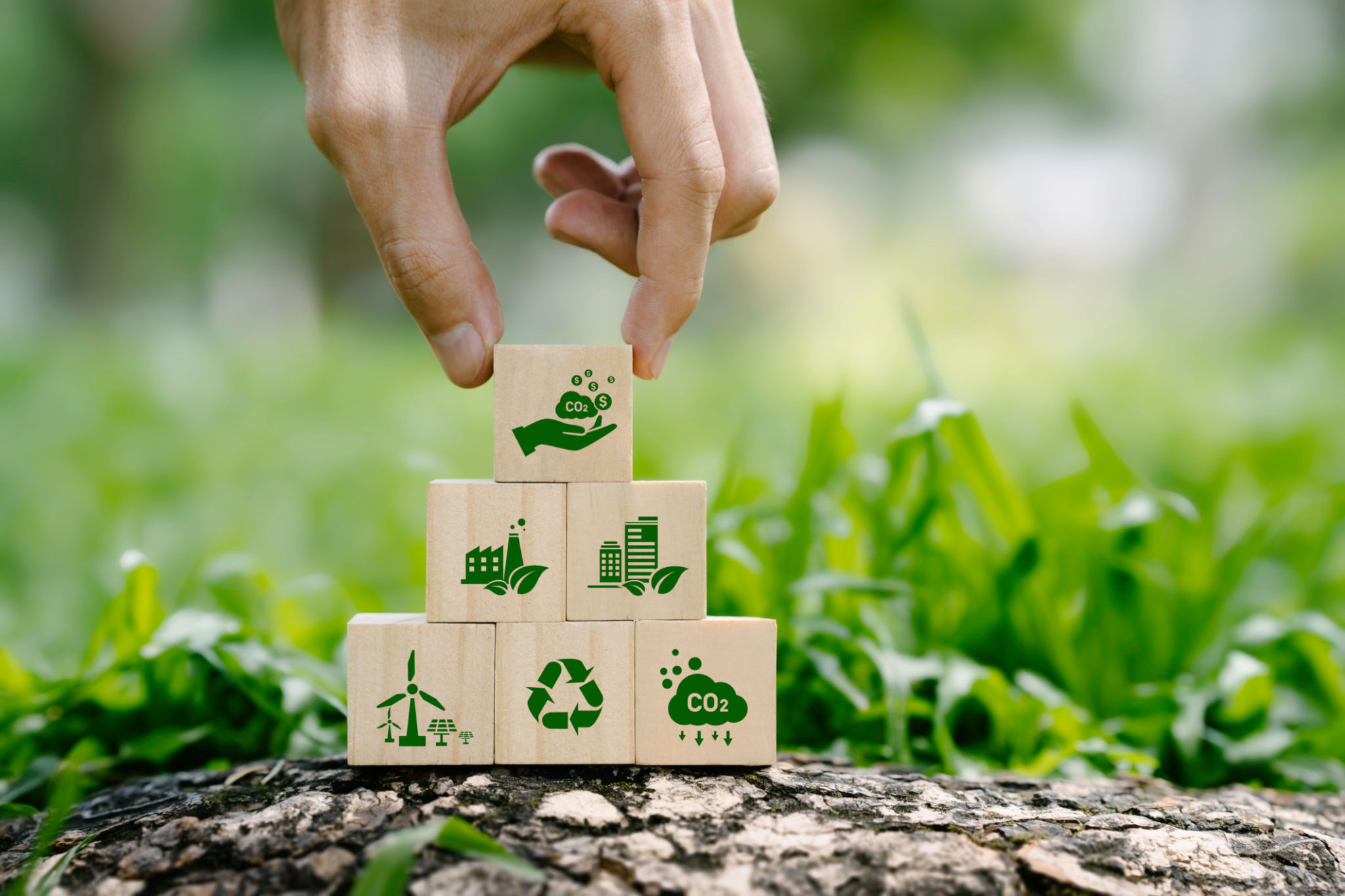 sustainable project management