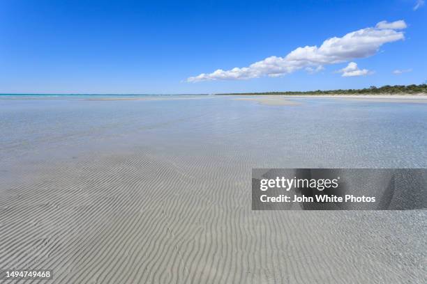Point Turton Point Turton South Australia Photos and Premium High Res Pictures ...