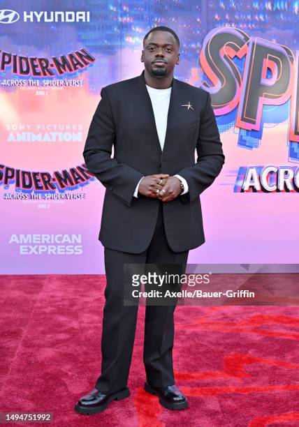 Daniel Kaluuya attends the World Premiere of Sony Pictures Animation's "Spider-Man: Across the Spider Verse" at Regency Village Theatre on May 30,...