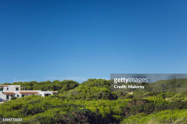 green overgrown hills and blue sky. formentera - formentera stock pictures, royalty-free photos & images