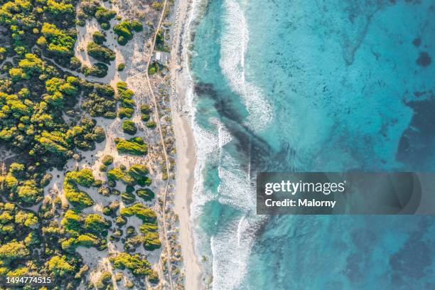 aerial view of the sea and the overgrown coastline. - formentera foto e immagini stock