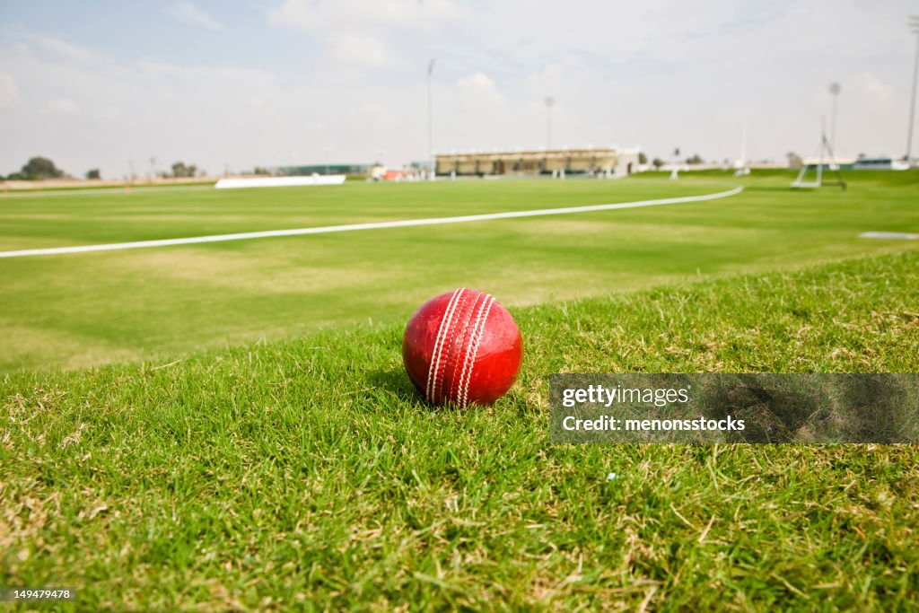 Coupe du Monde de Cricket