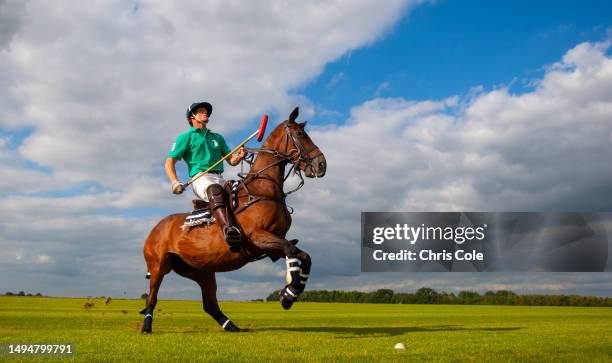 polo.model released photo shoot.somerset.england - polo horse stock pictures, royalty-free photos & images