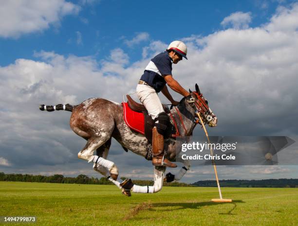 polo.model released photo shoot.somerset.england - polo stock pictures, royalty-free photos & images