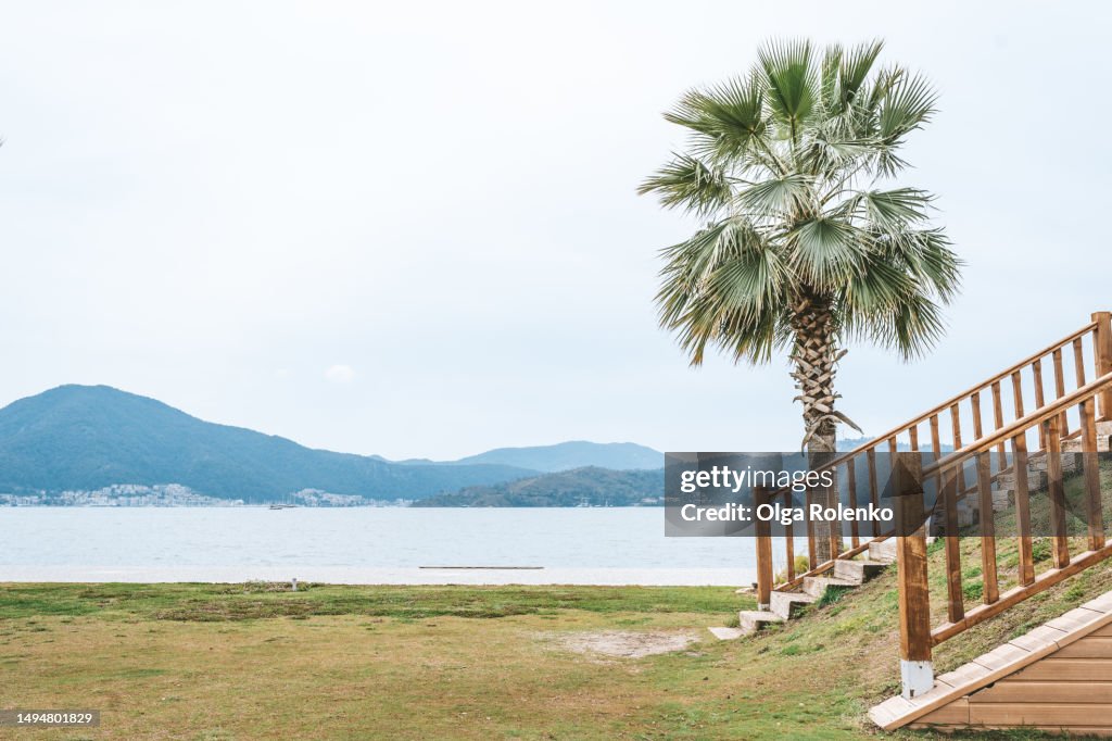 Palm tree, staircase and sea waterfront on resort. Travelling in sea and mountain area