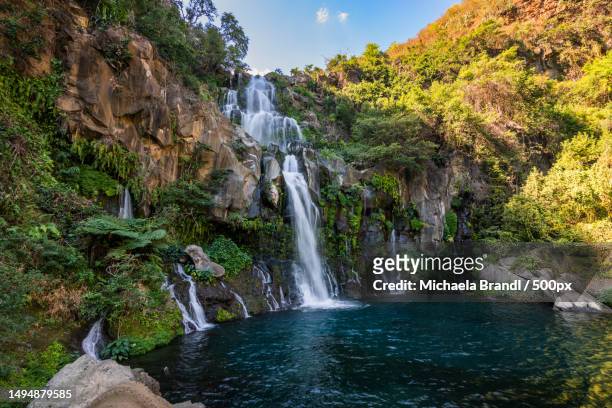 scenic view of waterfall in forest,reunion - la reunion stock pictures, royalty-free photos & images