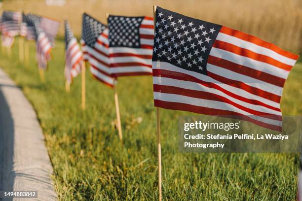 small american flags lined up - democratic party stock pictures, royalty-free photos & images