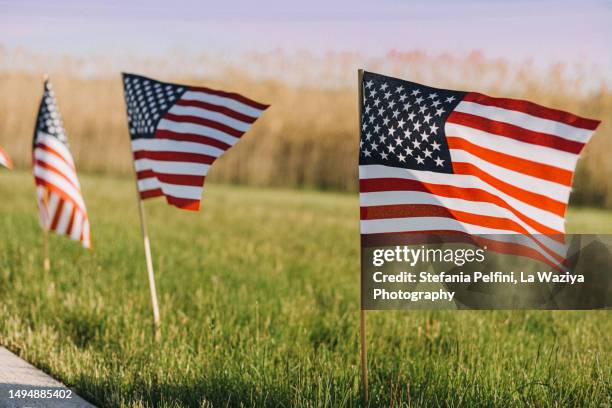 small american flags lined up - american flag small stock pictures, royalty-free photos & images