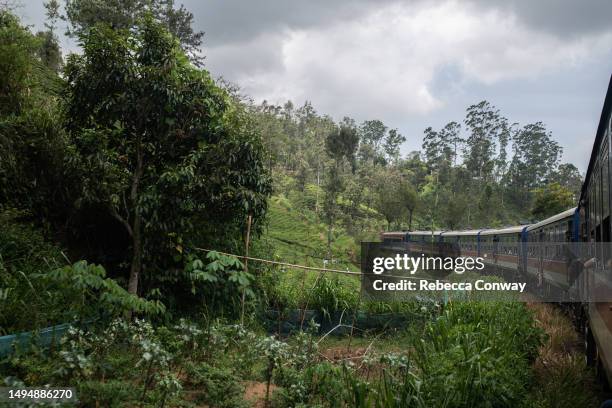 The train passes through tea plantations on May 30, 2023 on the route between Kandy and Ella, Sri Lanka. The Central Bank of Sri Lanka predicts the...