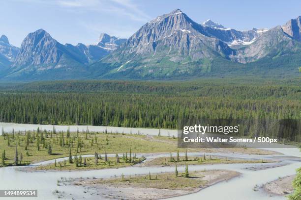 scenic view of snowcapped mountains against sky,alberta,canada - alberta stock pictures, royalty-free photos & images