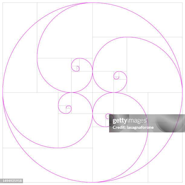 fibonacci-spirale. goldener schnitt spirale perfekte vektorvorlage. - mathematische funktion stock-grafiken, -clipart, -cartoons und -symbole
