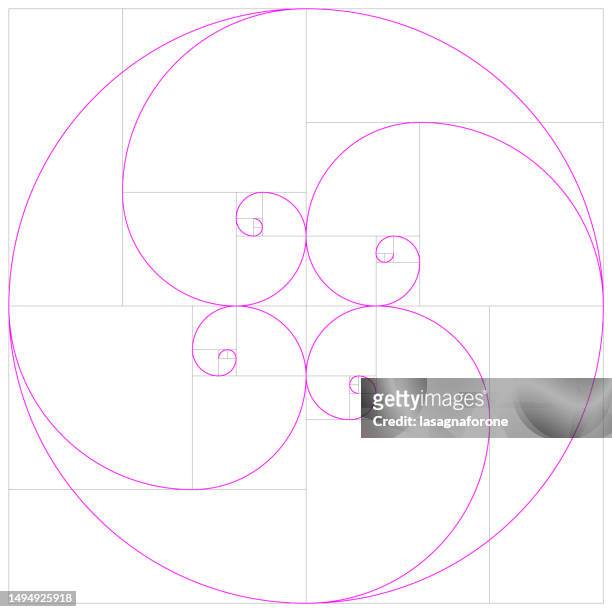 fibonacci spiral. golden ratio spiral perfect vector template. - fibonacci pattern 幅插畫檔、美工圖案、卡通及圖標