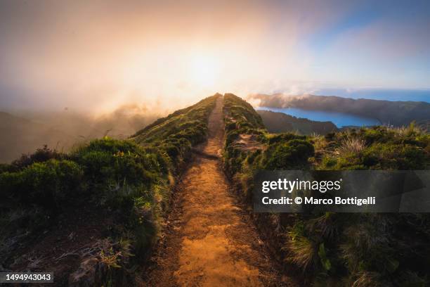 The Ridge Pathway Lake Ridge Island Mounds Photos and Premium High Res Pictures - Getty ...