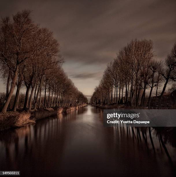 fall along flanders canal - damme stock pictures, royalty-free photos & images