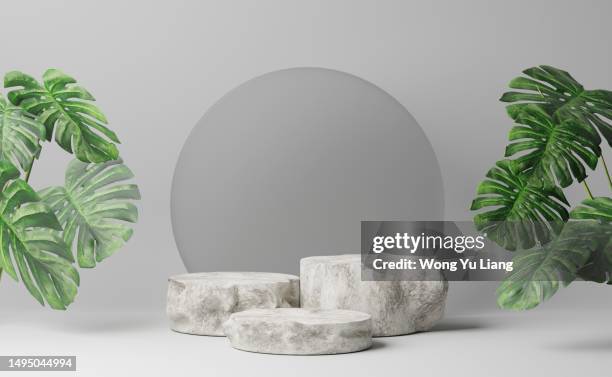 wood ,stone style podium with plants ,3d render - rock background stock pictures, royalty-free photos & images