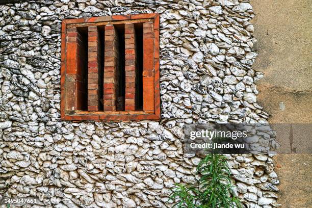 95 Windowpane Oyster Stock Photos, High-Res Pictures, and Images ...