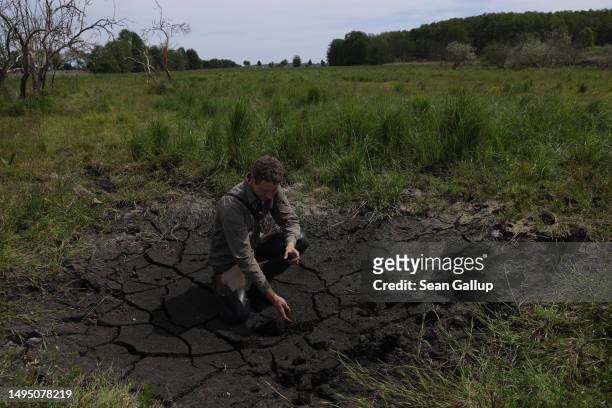 Fabian Frucht, a land manager of the Succow Stiftung foundation, stands on peat cracked and drying due to recent dry weather on the marsh of an...