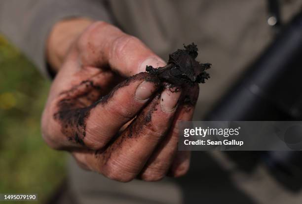 Fabian Frucht, a land manager of the Succow Stiftung foundation, holds a clump of peat at a rewetted portion of the Sernitzmoor peatland on May 31,...
