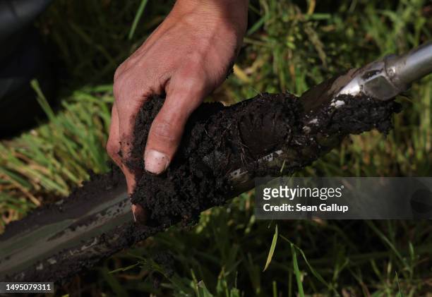 Fabian Frucht, a land manager of the Succow Stiftung foundation, gathers peat he has dug from the ground at a rewetted portion of the Sernitzmoor...