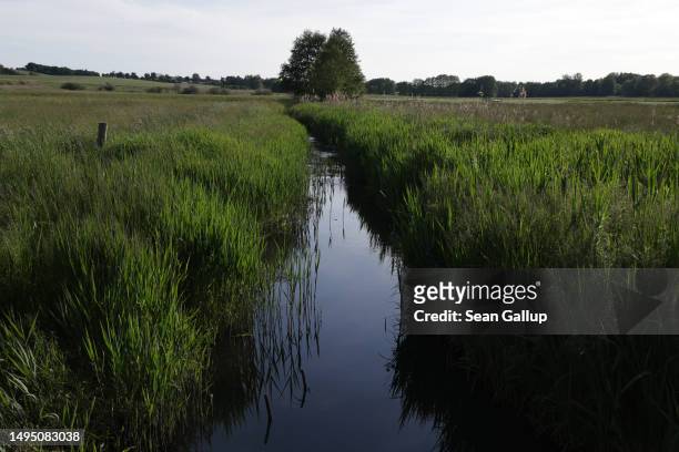 The channeled Sernitz creek flows in a rewetted portion of the Sernitzmoor peatland on May 31, 2023 near Greiffenberg, Germany. The Succow Stiftung,...