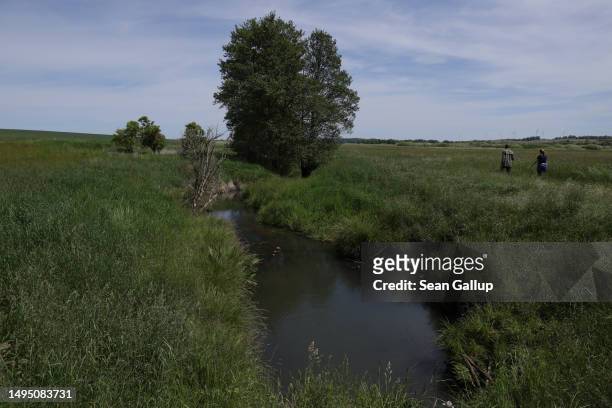 The channeled Sernitz creek flows through a portion of the Sernitzmoor peatland that after World War II was reduced from marsh to agricultural land...