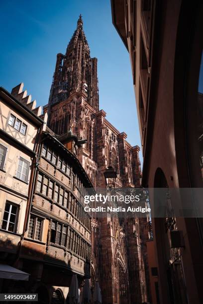 strasbourg notre dame cathedral and maison kammerzell - christian audigie stock pictures, royalty-free photos & images