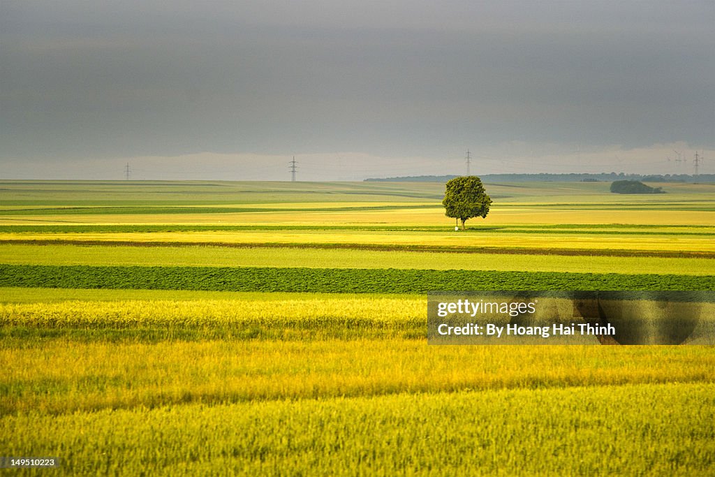 Beautiful countryside