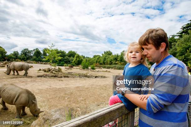 Cute adorable toddler girl and father watching wild rhinos in zoo. Happy baby child, daughter and dad, family having fun together with animals safari park on warm summer day. Ireland