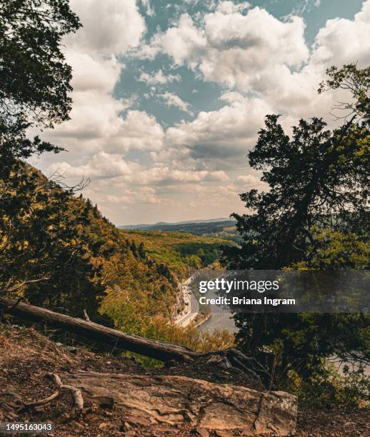 delaware water gap - green inspiring backgrounds imagens e fotografias de stock