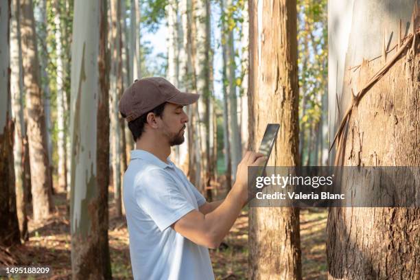 man in the forest using digital tablet - ipad blanc stock pictures, royalty-free photos & images