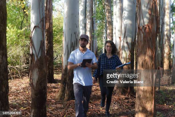 couple in the forest taking data with digital tablet - ipad blanc stock pictures, royalty-free photos & images