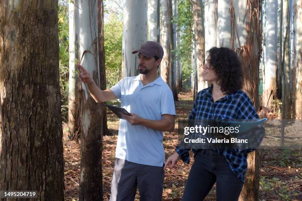 couple in the forest taking data with digital tablet - ipad blanc stock pictures, royalty-free photos & images