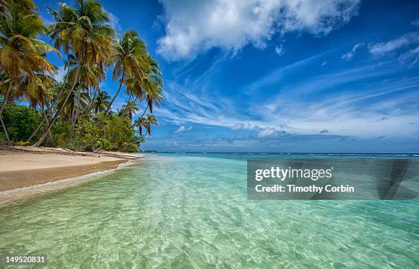 pigeon point beach - trinidad and tobago stock pictures, royalty-free photos & images