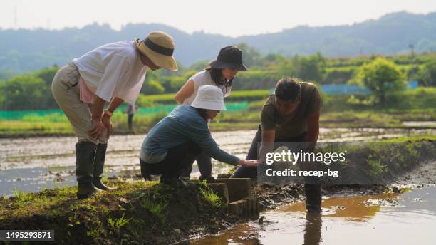 Japanese Rice Worker 1,410 Japanese Rice Hat Stock Photos, High-Res Pictures, and Images ...