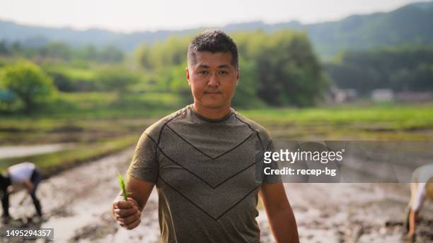 porträt eines männlichen bauern, der reisfeld auf einer reispflanzfarm hält - confidence male landscape stock-fotos und bilder